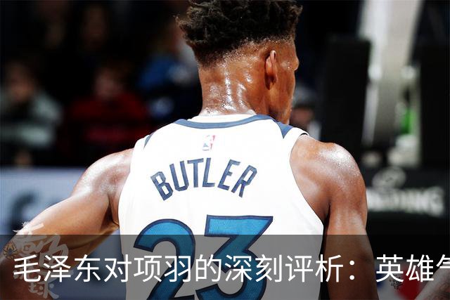 毛泽东对项羽的深刻评析：英雄气节与政治智慧的缺失