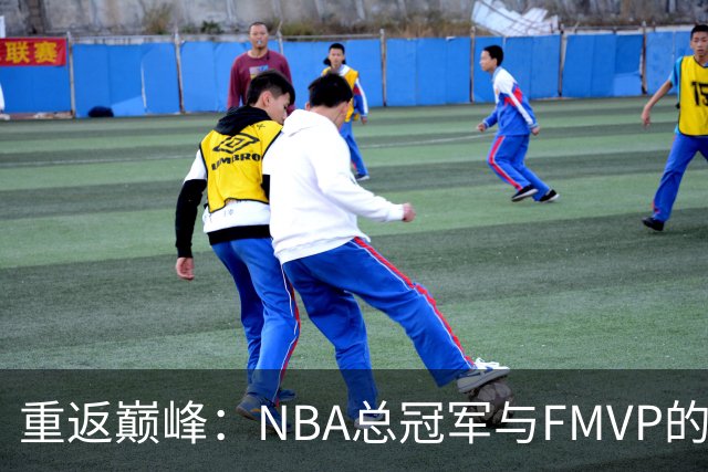 重返巅峰：NBA总冠军与FMVP的极致挑战